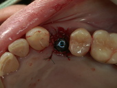 PICT0016.JPG