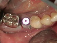 PICT0028.JPG