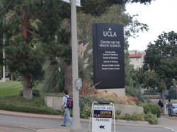 CIMG1187.JPG