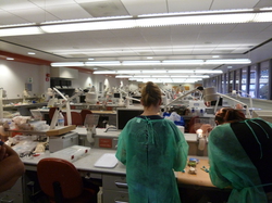 P1000820.JPG